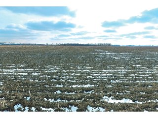 Property photo 10 - LAND AUCTION - 228+/- ACRES OFFERED IN 2 TRACTS IN JASPER COUNTY, INDIANA